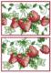 cross-stitch