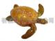 Tortoise