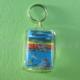 empty shell key is buckled