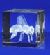 Crystal Crafts