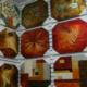 Lacquer painting