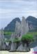 Landscape Stone
