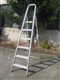 ladder