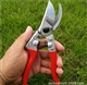 Garden shears