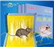 Pest control products