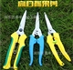 Garden shears